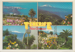Delcampe - Spanien - Tenerife - Views - Islas Canarias - Nice Stamp 2001 - Tenerife