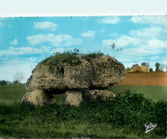 St Estèphe * Vue Sur Le Dolmen De La Boucharderie * Pierre Menhir - Other & Unclassified