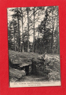 60 ~ VAUMOISE ~ N°377 Forêt De Villers-Cotterêts, La Cave Du Diable ( Pillet 1909 ) état Impeccable - Vaumoise