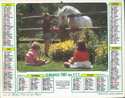 054 - ALMANACH DES P.T.T  1981 - Formato Grande : 1981-90