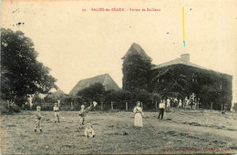 Salies De Béarn * La Ferme De Bailleux * Agriculture Travail Aux Champs - Salies De Bearn