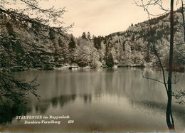 CPSM Staufensee Im Rappenloch-Dornbirn      L1935 - Dornbirn