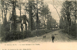 St Christau * La Route Thermale Et Les Chalets * Villas - Autres & Non Classés