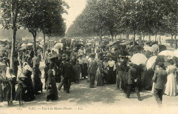 Pau * Vue à La Haute Plante * Jour De Fête Foire Marché ? - Pau