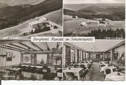 Waldkirch Berghotel Kandlel - Waldkirch