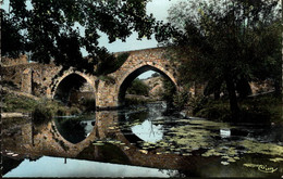 79 ARGENTON-CHATEAU L'ANCIEN PONT NEUF - Argenton Chateau