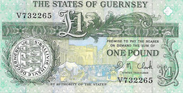 GUERNESEY - 1 Pound - 1991 - NEUF - Guernesey