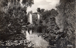 COULONGES-SUR-L'AUTIZE LE MOULIN SUR L'AUTIZE - Coulonges-sur-l'Autize