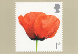 Great Britain 2008 PHQ Card Sc 2614 1st Poppy - PHQ-Cards