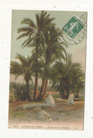 Cp, Algérie, Scénzs Et Types,  Tombes Dans Les Palmiers ,  Voyagée 1909 - Scènes & Types