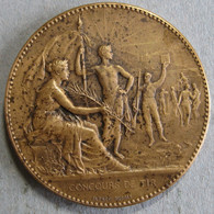 Medaille L’Avenir Société De Tir De Paris, Nu, Par Dubois - Professionals/Firms
