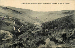 St Sauveur En Rue * Vallée De La Deûme Et Les Bois De Taillard - Sonstige & Ohne Zuordnung