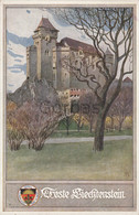 Austria - Liechtenstein Castle - Maria Enzersdorf - Illustrateur A.R. - Mödling