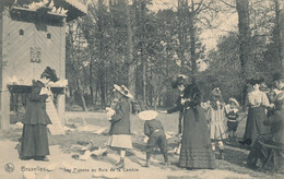 AV 489    C P A. BELGIQUE  BRUXELLES    LES PIGEONS AU BOIS DE LA CAMBRE - Forêts, Parcs, Jardins