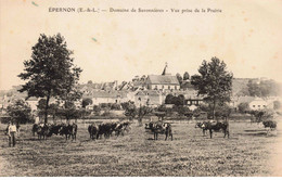 28 - EPERNON - S01186 - Domaine De Savonnières - Vue Prise De La Prairie - Agriculture - Vaches - L1 - Epernon