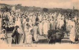 ALGERIE - S02284 - MOSTAGANEM - Le Marché - Bœufs - L1 - Mostaganem