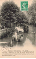 89 - AILLANT SUR THONON - S00460 - Le Tholon - Chevaux - Canards - Rivière - Chien  - L1 - Aillant Sur Tholon