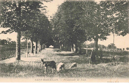 38 - SAINT MARCELIN - S00891 - Promenade De Joud - Agriculture - Pli - L1 - Saint-Marcellin