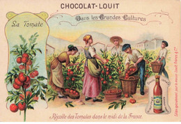 CHROMOS - S00925 - Chocolat Louis - Récolte Des Tomates Dans Le Midi De La France - Agriculture - 10,5x7cm Env - L1 - Louit