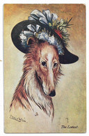 Postcard, Louis Wain, Fashionable Dog Wearing Hat, 1913. - Wain, Louis