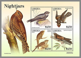 LIBERIA 2022 MNH Nightjars Nachtschwalben Engoulevents M/S - OFFICIAL ISSUE - DHQ2249 - Golondrinas