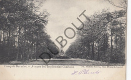 Postkaarte/Carte Postale - Camp De Beverloo - Avenue De L'Impératrice Charlotte (C2792) - Leopoldsburg (Camp De Beverloo)