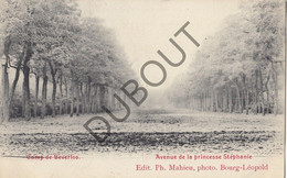 Postkaarte/Carte Postale - Camp De Beverloo - Avenue De La Princesse Stéphanie (C2788) - Leopoldsburg (Camp De Beverloo)
