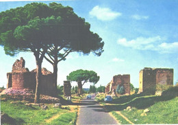 Italy:Rome, Appia Antica Street - Transportes