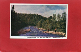 CANADA--NEWFOUNDLAND---Pulpwood On The Way To The Mill---voir 2 Scans - Otros & Sin Clasificación