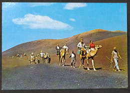 Postal Postcard Caravana De Camellos En Lanzarote (España) – Sin Usar - Lanzarote