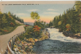 The Lower Ammonoosuc Falls, White Mountains, New Hampshire - White Mountains