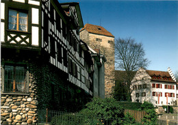 Arbon Mit Schloss (25057) - Arbon