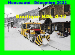 RU 2002 - Draisine Déneigement DU 65 CN N° 6.132 En Gare Du LIORAN - Cantal - SNCF - Matériel