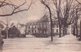 HAGUENAU(TRIBUNAL) - Haguenau