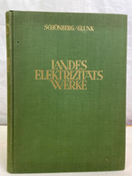 Landes-Elektrizitätswerke. - Architektur