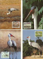 LOT 4 CARTES MAXIMUM WWF MALAWI  GRUES. - Maximumkarten