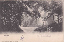 Uccle - Ukkel - Sous Bois Près Du Cornet - Circulé Vers 1900 - Dos Non Séparé - TBE - Uccle - Ukkel