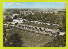 45 En Avion Au Dessus De CHATILLON COLIGNY N°1K Le Château VOIR DOS - Chatillon Coligny