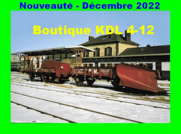 RU 2009 - Wagon-soc Langeac Et Wagon Flanger 64 En Gare De LAQUEUILLE - Puy De Dôme - SNCF - Matériel