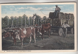 C1415) Transportation Of COTTON By ROAD - Old !! - Negro Americana