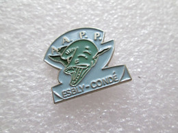 PIN'S   ANIMAUX  POISSON  PÊCHE  A.A.P.P.   ESBLY CONDE - Animaux