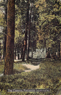 CPA Thème - Illustration -  The Coppice - Ryelands - Leominster - Forest - Bois - Nature - Chemin - Non Classés