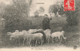 CPA Folklore - Une Bergère Et Son Troupeau - L'auvergne - Moutons - - Personajes