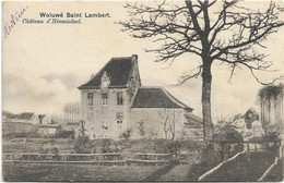 Woluwe-Saint-Lambert   *  Château D'Hinnisdael  (Nels, 240) - Woluwe-St-Lambert - St-Lambrechts-Woluwe