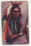 CHIEF YELLOW HAWK  ILLUSTRATA PETERSON 1918  GOFFRATA - VIAGGIATA FP - Indiani Dell'America Del Nord