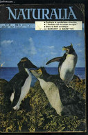 Naturalia N° 40 - Les Jeux D'un Papillon Et D'un Arbre Par Dr L. Marceron, Champignons : Erreurs Et Préjugés Par B. Mant - Cultural