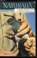 Naturalia N° 30 - Les Plantes Possèdent-elles Un Système Nerveux ? Par P. Devaux, Propos Sur Les Hormones Animales Par D - Cultural