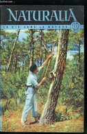 Naturalia N° 18 - La Forêt Dans Une Cornue Par P.H. Goislard, Le Transport Des Animaux Sauvages Par P. Bullier, L'oiseau - Cultural