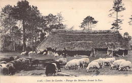 CPA France  - Dans Les Landes - Pacage Des Moutons Devant Le Parc - Bromotypie Gautreau - Langon Gironde - Other & Unclassified