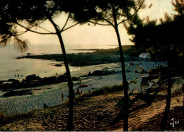 Beg Meil La Plage Et Ses Dunes Par Un Soir D'ete            CPM Ou CPSM - Beg Meil